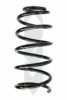 SPIDAN 86687 Coil Spring